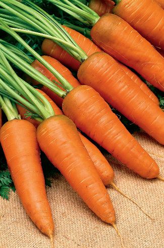 Root Vegetables