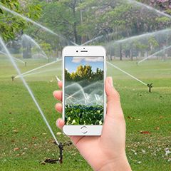 Smart Irrigation